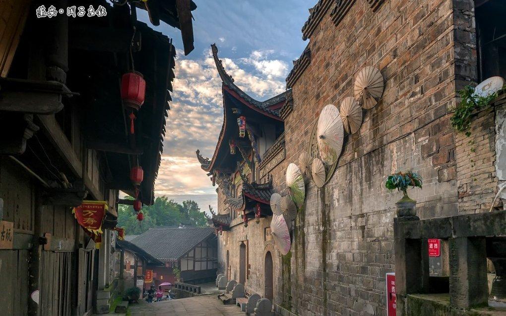 白色森林逃脱
